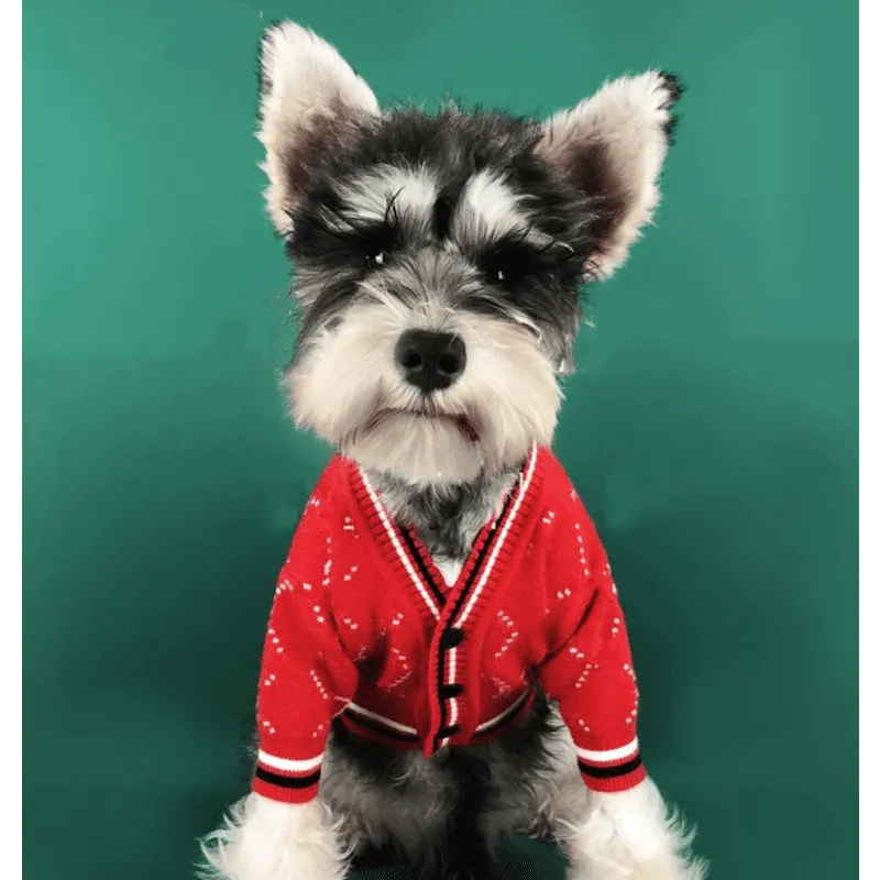 Cardigan Sweater for Dogs in Red