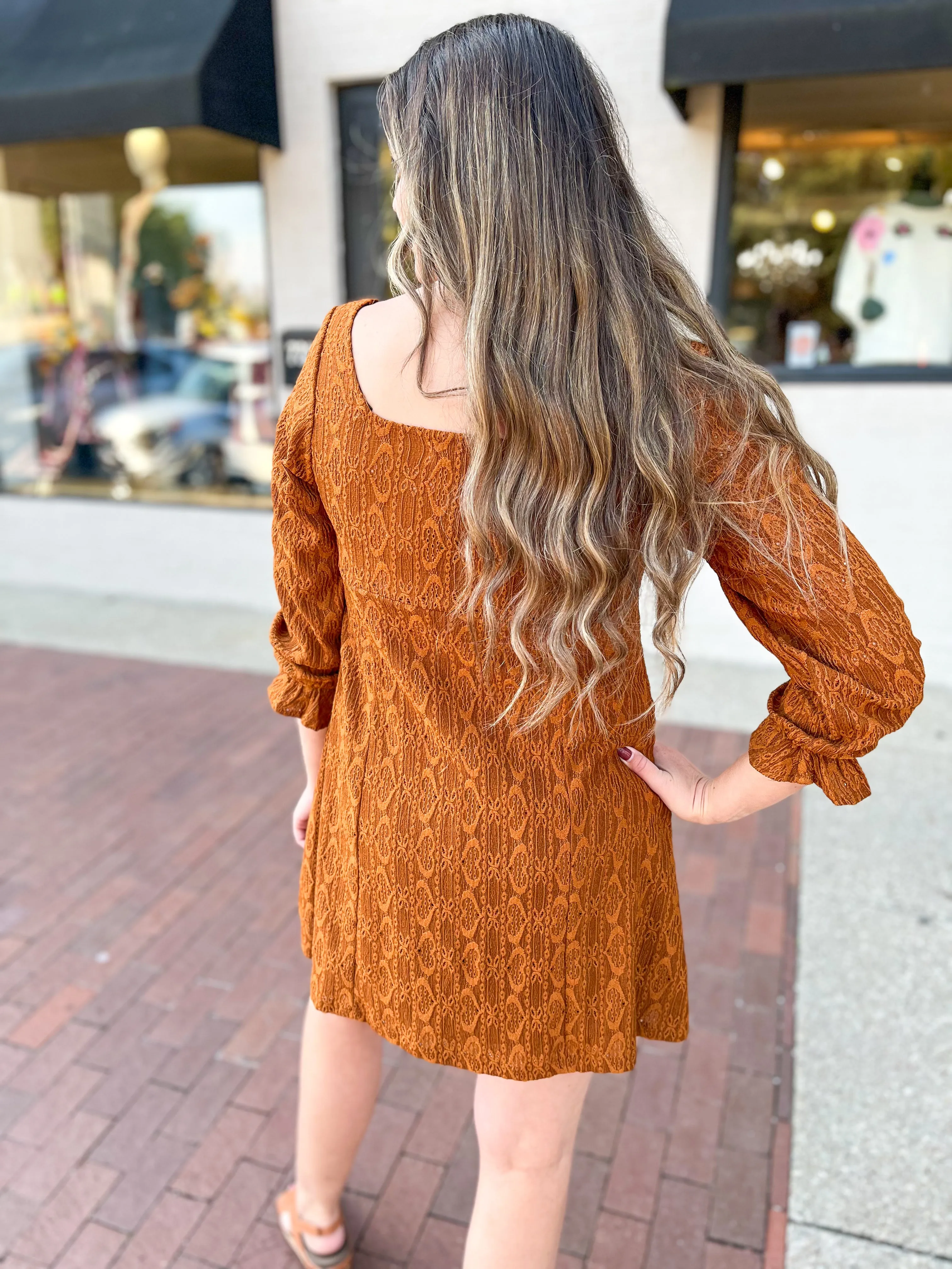 Chestnut Lace Shift Mini Dress