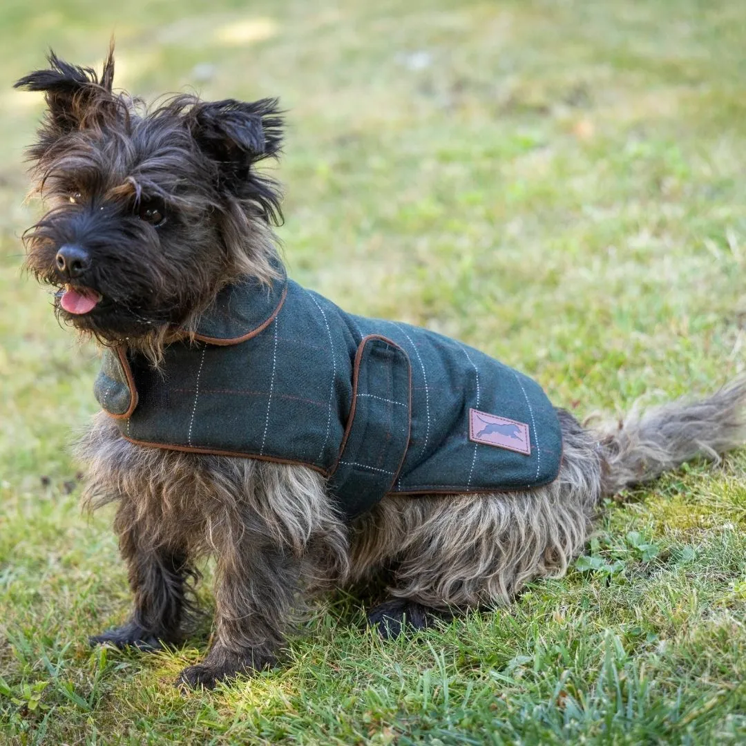 Dark Green Tweed Dog Coat by House of Paws